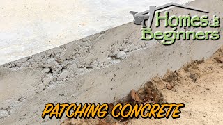 How to Repair Honeycombing or Holes in Concrete [upl. by Eimac329]