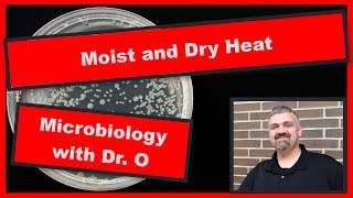 Moist Heat and Dry Heat to Control Growth Microbiology [upl. by Eelannej]