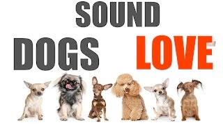 Sound Dogs Love All Time  HQ [upl. by Atiluj]