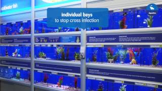 Making our pets at home  Aquatics [upl. by Georgette]