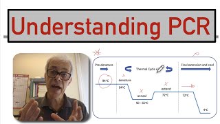 Understanding PCR [upl. by Hartnett]