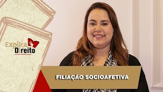 Explica Direito Filiação Socioafetiva  2019 [upl. by Felike662]