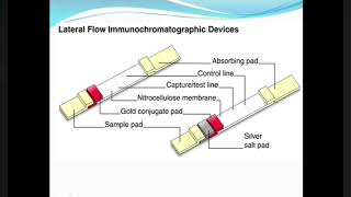 Guide to Immunochromatographic Assay [upl. by Verdie190]