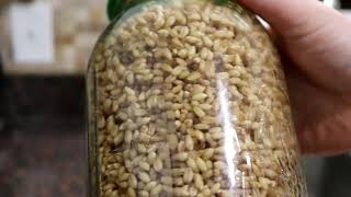 How To Make Sprouted Grain Flour  SO EASY [upl. by Frants]