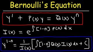 Bernoullis Equation For Differential Equations [upl. by Eppesiug664]