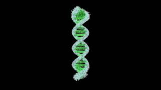 Designing Droplet Digital PCR Assays [upl. by Waters]