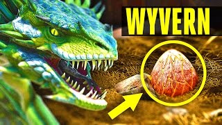 Wyvern  How to tameWhere to find eggs  EVERYTHING YOU NEED TO KNOW ARK Scorched Earth [upl. by Ihcalam972]