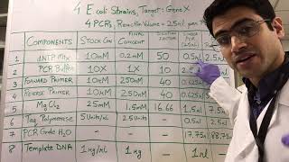 How To PCR Calculations [upl. by Loretta]