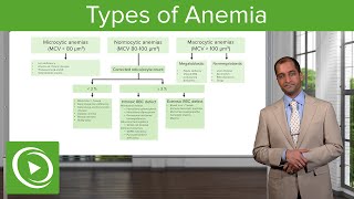 Anemia Microcytic Normocytic amp Macrocytic Type – Hematology  Lecturio [upl. by Mckale541]