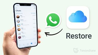 How to Restore WhatsApp Messages on iPhone 2023 3 Ways [upl. by Nevur252]