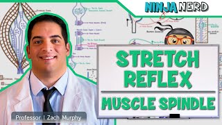 Moro Reflex  Everything You Need To Know  Dr Nabil Ebraheim [upl. by Gordy]