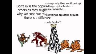 What is the Five Monkeys Experiment [upl. by Pen]