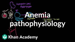 Anemia pathophysiology  Hematologic System Diseases  NCLEXRN  Khan Academy [upl. by Betty]