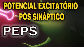 Potencial Excitatório Pós Sináptico  PEPS [upl. by Decker]