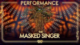 Tree Sings Evergreen In A Bid For Survival  Season 1 Ep4 Sing Off  The Masked Singer UK [upl. by Irod]