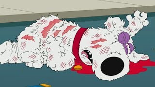 Family guy  Brian dies [upl. by Nickolas]