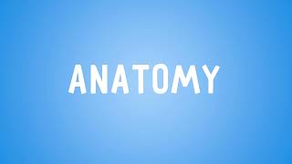 How to Pronounce Anatomy How to say Anatomy [upl. by Michaela]