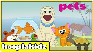 Preschool Activity  Learn About Pets  HooplaKidz [upl. by Arrimat]