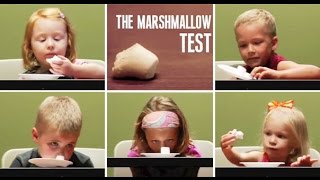 the marshmallow experiment  Instant gratification [upl. by Naej]