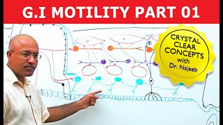 G I Motility  Gastrointestinal  Part 1 [upl. by Edora78]