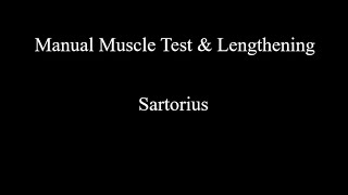 Manual Muscle Test amp Lengthening  Sartorius [upl. by Dusty]