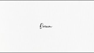 Shawn Mendes  Dream Lyric Video [upl. by Dranreb]