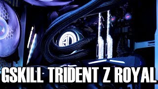 Gskill Trident Z Royal Review amp Light Show [upl. by Finbar907]