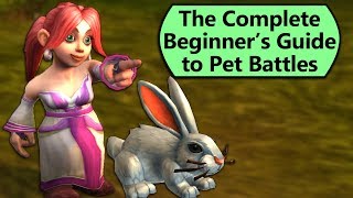 How to Get Started with Pet Battles From Scratch [upl. by Laura]