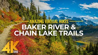 4K Virtual Hike Near River through the Forest  Baker River Trail amp Chain Lake Trail [upl. by Tdnerb]