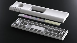 DCN Diagnostics Lateral Flow Assay Development [upl. by Nirrac]