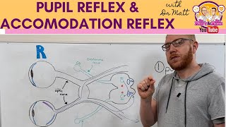 Pupillary light reflex and Accommodation reflex [upl. by Jessie]