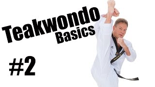 TAEKWONDO Basics ★Einzelübungen★ [upl. by Yrrag]