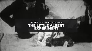 The Little Albert Experiment [upl. by Sharline250]