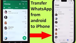 How to transfer WhatsApp from android to iPhone [upl. by Tnahsin]