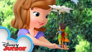 The Littlest Princess  Sofia The First  disneyjr [upl. by Golub]