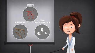 Basics of PCR [upl. by Necaj]