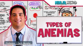 Hematology  Types of Anemias [upl. by Seigel]