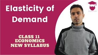 Elasticity of Demand in Nepali  New Syllabus  Class 11  Economics [upl. by Cristie]