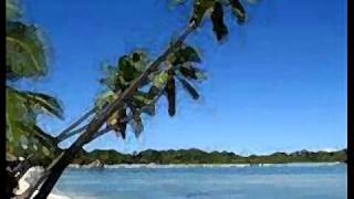 Fijian Farewell Song  Isa Lei  Toberua Serenaders wmv [upl. by Niel]