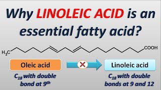 Why Linoleic acid is an essential fatty acid [upl. by Enyrat]