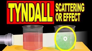 Tyndall Scattering or Tyndall Effect  Video Explanation [upl. by Odnaloy]