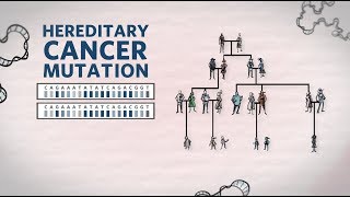 What Is Hereditary Cancer What Is A Hereditary Cancer Mutation  Genetics 101  Ambry Genetics [upl. by Natsuj]