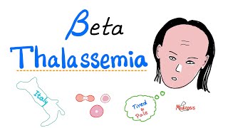 Beta Thalassemia  Causes and Types  minor Major amp Intermedia  Hematology [upl. by Eyahc]