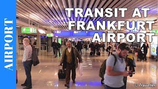 TRANSIT WALK AT FRANKFURT Airport FRA Terminal 1  Connection Flight Transfer Arriving amp Departing [upl. by Avraham]