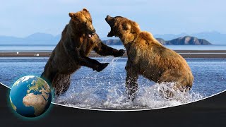 Fighting Grizzlies amp Hunting Wolf Packs in Americas first National Park  Yellowstone [upl. by Pedaiah]