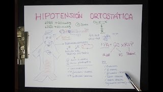 HIPOTENSIÓN ORTOSTÁTICA definición fisiopatología tratamiento [upl. by Eddy538]